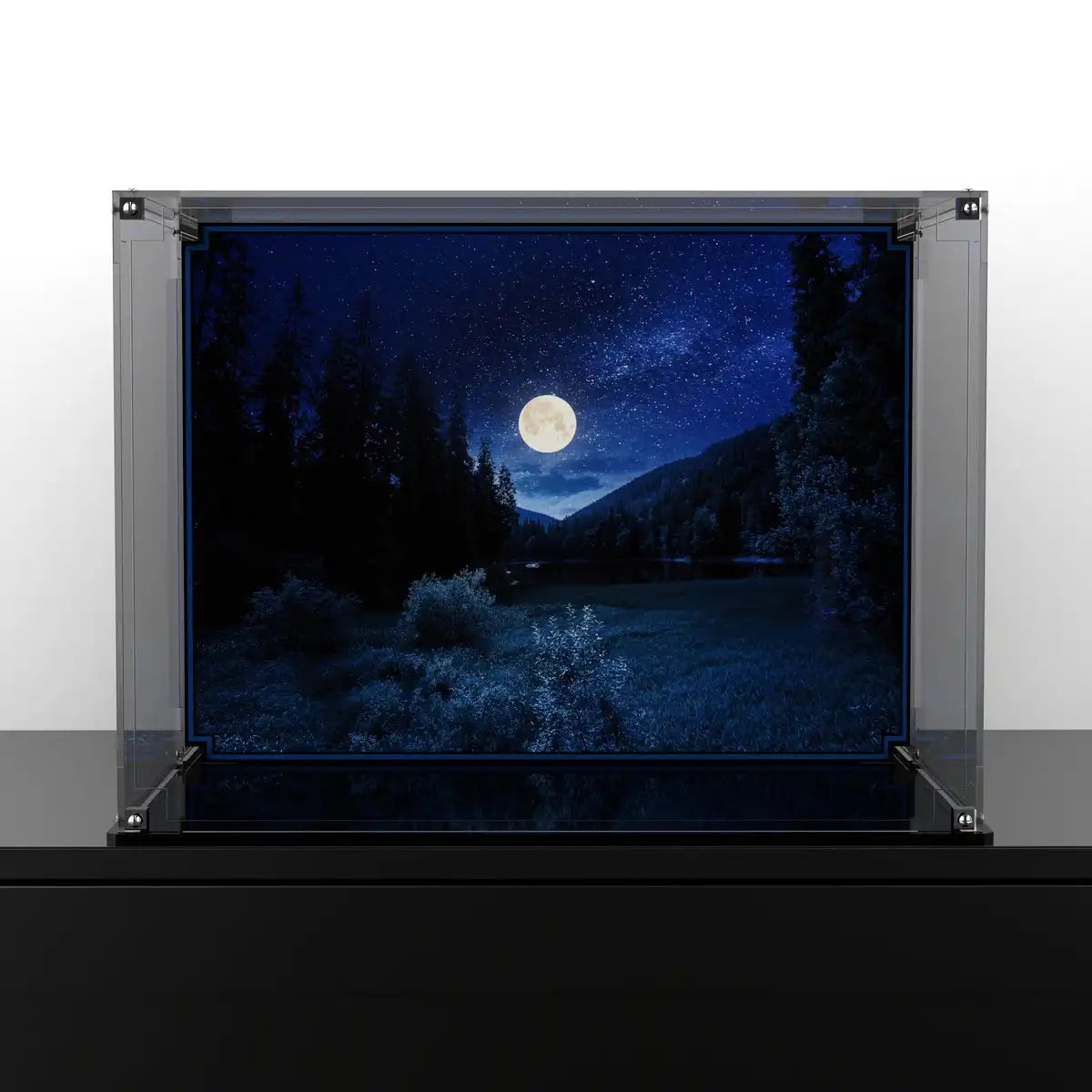 Display Case For LEGO® Harry Potter™ Hogwarts™ Whomping Willow™ 75953