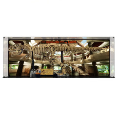 Display Case For LEGO® Jurassic World Dinosaur Fossils: Tyrannosaurus rex 76968