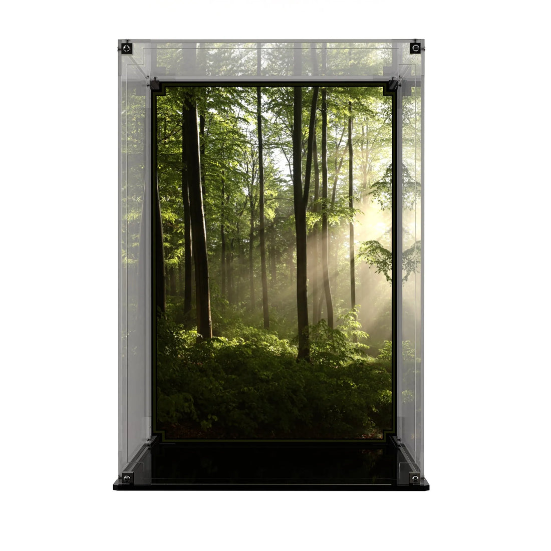 Display Case For LEGO® Star Wars AT-ST Walker 75417