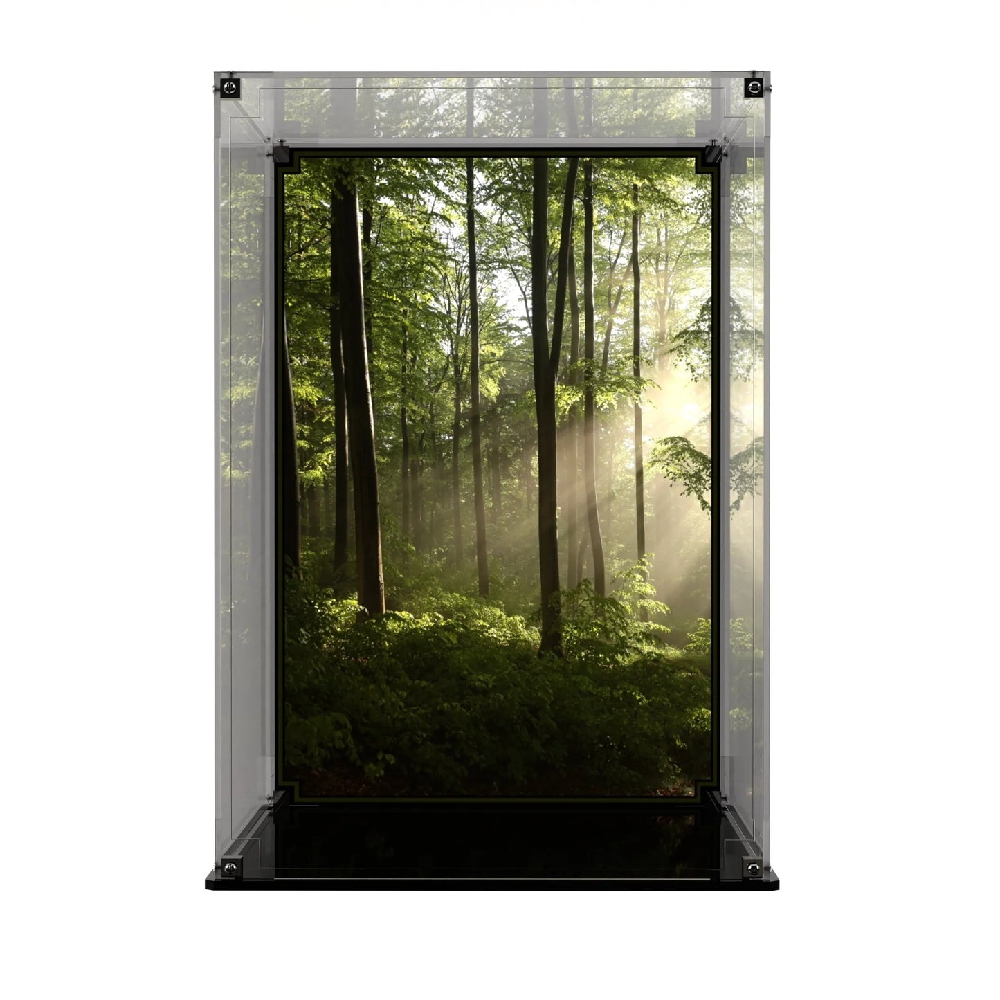 Display Case For LEGO® Star Wars AT-ST Walker 75417