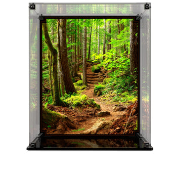 Display Case For LEGO Star Wars Wicket the Ewok 75430